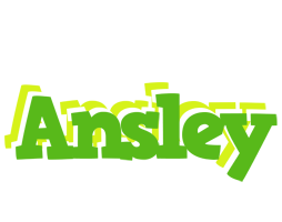 Ansley picnic logo