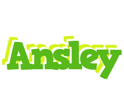 Ansley picnic logo