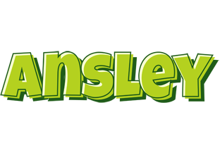 Ansley summer logo