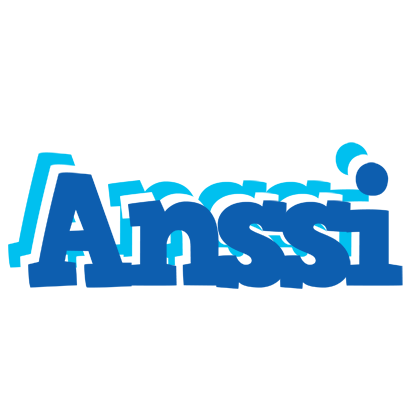 Anssi business logo