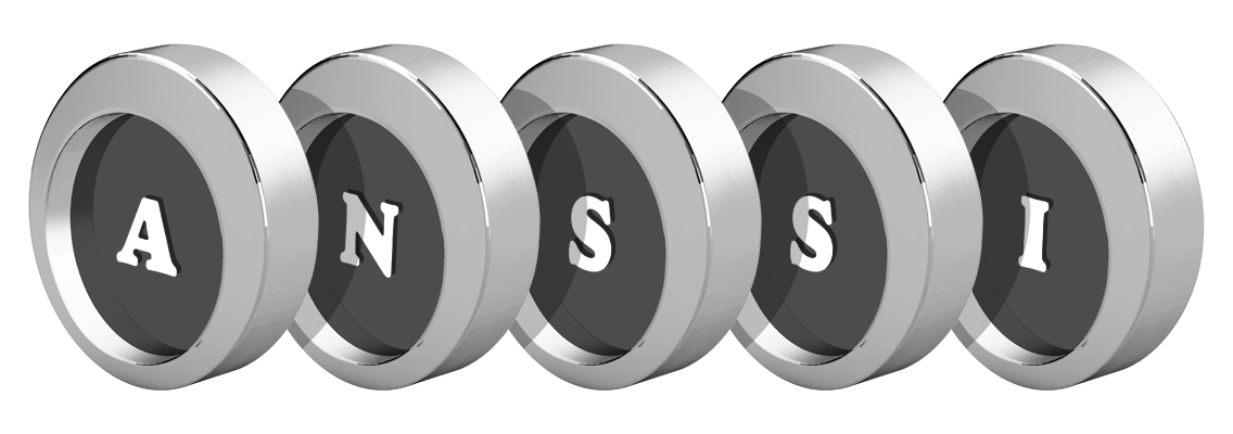 Anssi coins logo