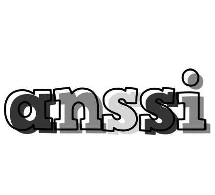 Anssi night logo