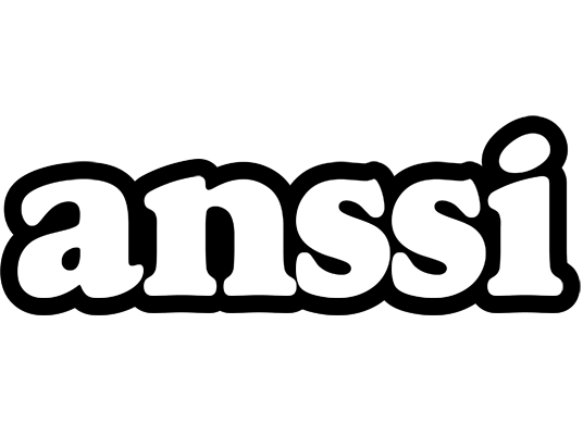 Anssi panda logo