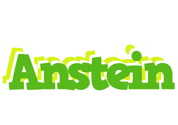 Anstein picnic logo