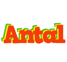 Antal bbq logo