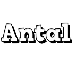 Antal snowing logo
