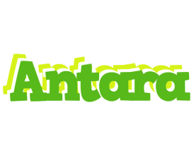 Antara picnic logo