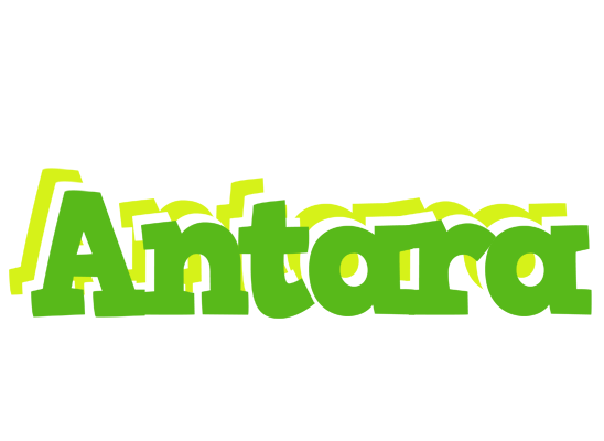 Antara picnic logo