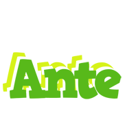 Ante picnic logo