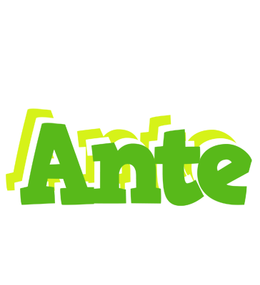 Ante picnic logo