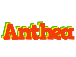 Anthea bbq logo