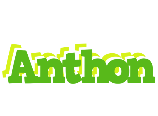 Anthon picnic logo