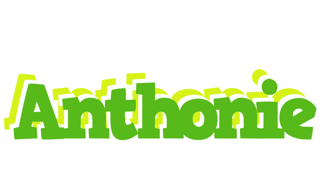 Anthonie picnic logo