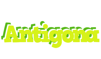 Antigona citrus logo