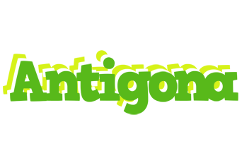 Antigona picnic logo