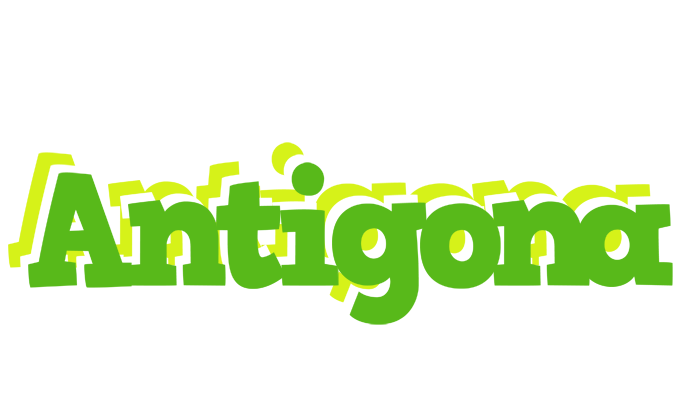 Antigona picnic logo