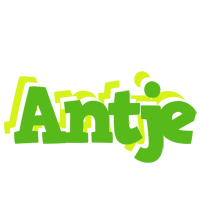 Antje picnic logo