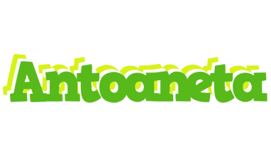 Antoaneta picnic logo