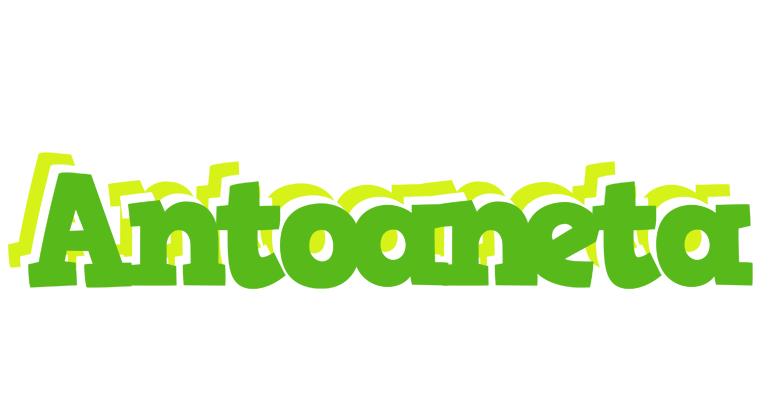 Antoaneta picnic logo