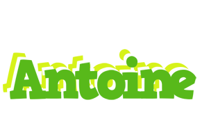 Antoine picnic logo