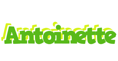 Antoinette picnic logo