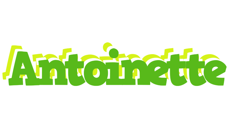 Antoinette picnic logo