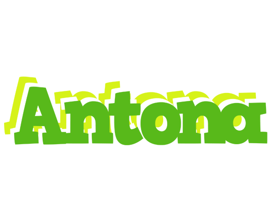 Antona picnic logo