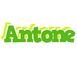 Antone picnic logo