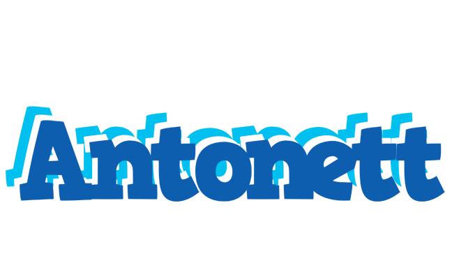 Antonett business logo