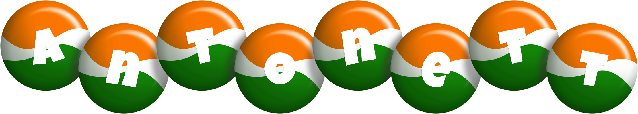 Antonett india logo