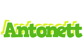 Antonett picnic logo