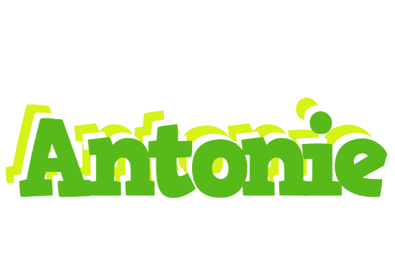 Antonie picnic logo