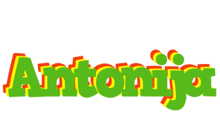 Antonija crocodile logo