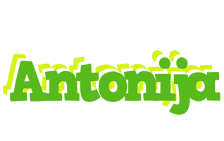 Antonija picnic logo