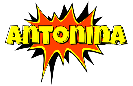 Antonina bazinga logo