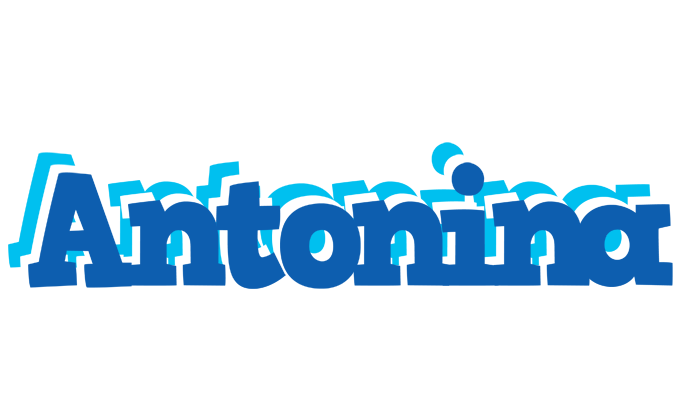 Antonina business logo