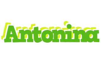 Antonina picnic logo