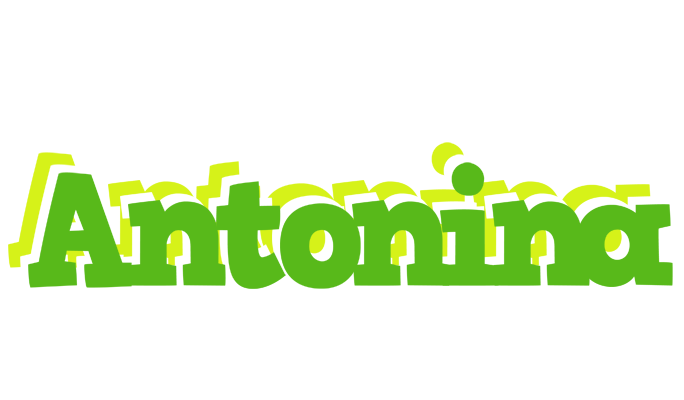 Antonina picnic logo