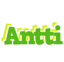 Antti picnic logo