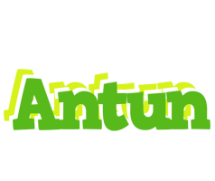 Antun picnic logo