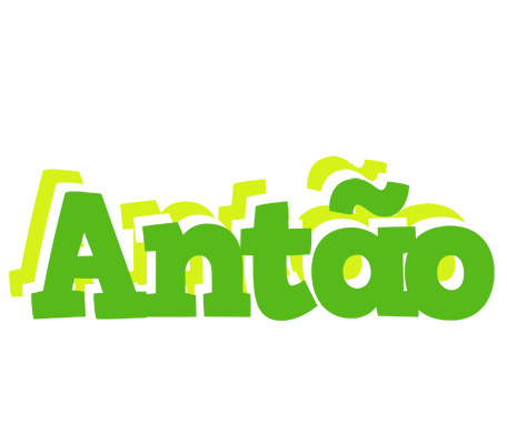 Antão picnic logo