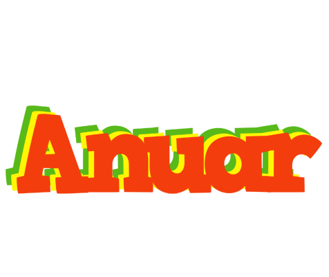 Anuar bbq logo