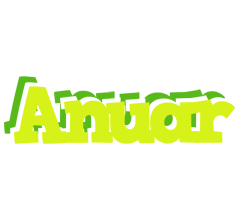 Anuar citrus logo