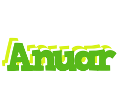 Anuar picnic logo