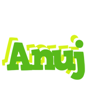 Anuj picnic logo