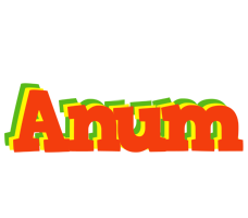 Anum bbq logo