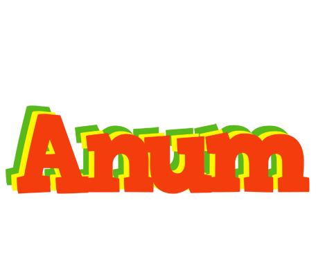 Anum bbq logo
