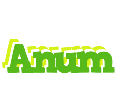 Anum picnic logo