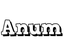 Anum snowing logo