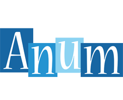 Anum winter logo